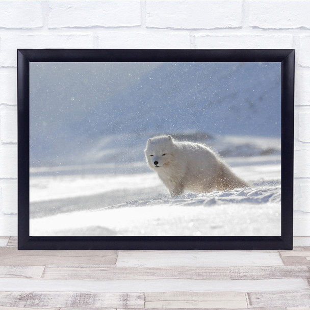 Snow Dog White Nature Cold Wall Art Print