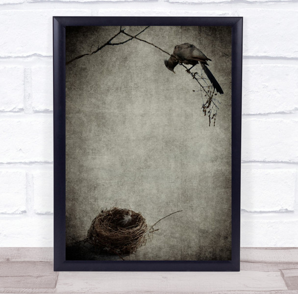 Empty Nest Syndrome bird Wall Art Print