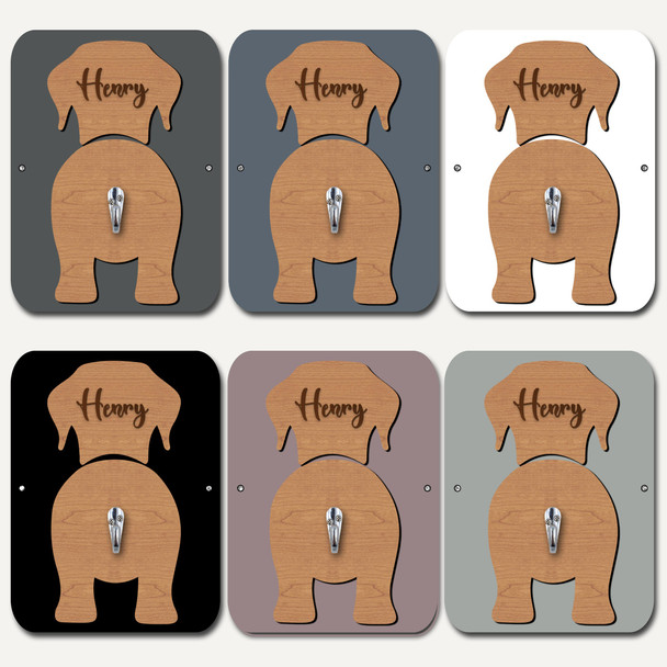 Labrador Dog Lead Holder Leash Hanger Hook Any Colour Personalised Gift