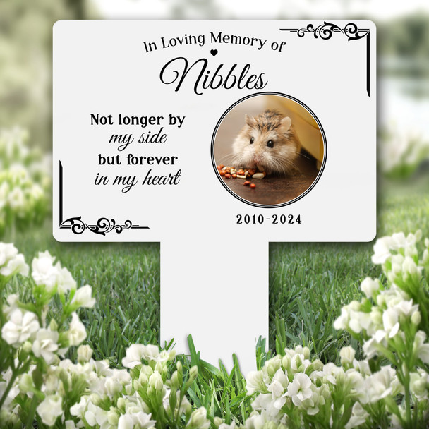 Forever In My Heart Any Pet Photo Pet Remembrance Grave Plaque Memorial Stake