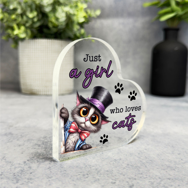 Gift For Cat Lover Peeking Cat With Hat Side Heart Keepsake Plaque Ornament
