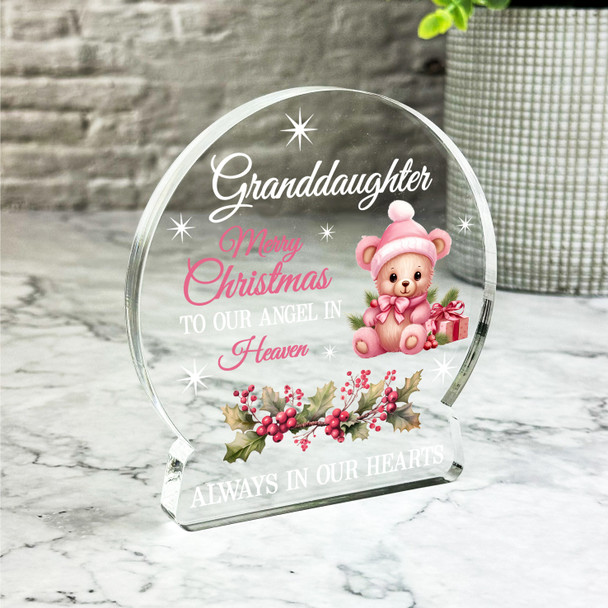 Granddaughter Pink Teddy Bear Christmas Memorial Gift Snowglobe Keepsake Plaque