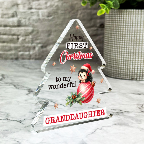 Gift For Granddaughter 1st Christmas Baby Hedgehog Bauble Tree Keepsake Plaque