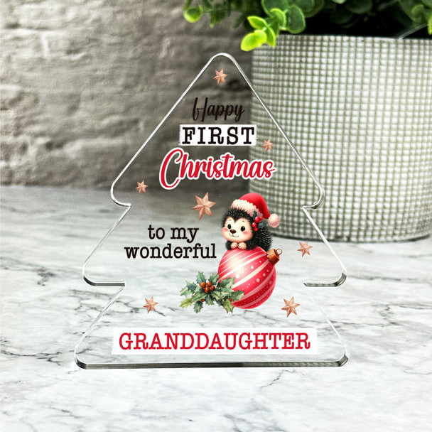 Gift For Granddaughter 1st Christmas Baby Hedgehog Bauble Tree Keepsake Plaque
