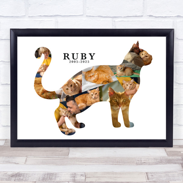 Photo Collage Pets Memorial Custom Gift For Anyone 10-Photo Cat Print Or Canvas Photo Collage Pets Memorial Custom Gift For Anyone 10-Photo Cat Print Or Canvas