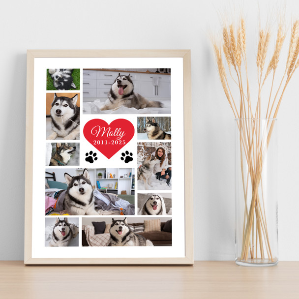 Photo Collage Pets Memorial Gift For Anyone 10-Photo Red Heart Print Or Canvas Photo Collage Pets Memorial Gift For Anyone 10-Photo Red Heart Print Or Canvas
