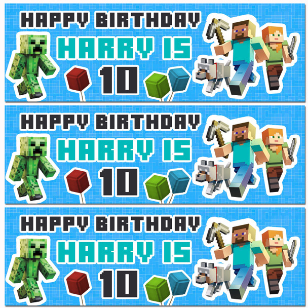Personalised Party Banner For Kids Birthday Minecraft Blue Any Age