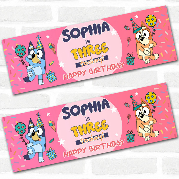 Personalised Party Banner For Kids Birthday Pink Girls Bluey Any Age