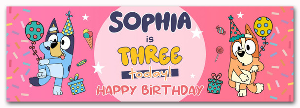 Personalised Party Banner For Kids Birthday Pink Girls Bluey Any Age