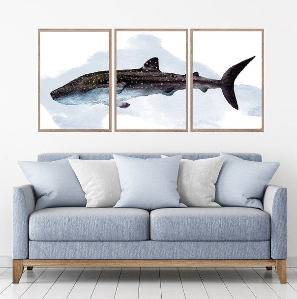 Tiger Shark Watercolour Set Of 3 Wall Art Home Decor Picture Framed Prints