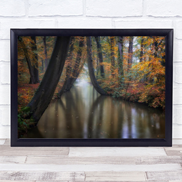 autumn Tree River Leaf Leaves Netherlands Foliage Forest Wall Art Print