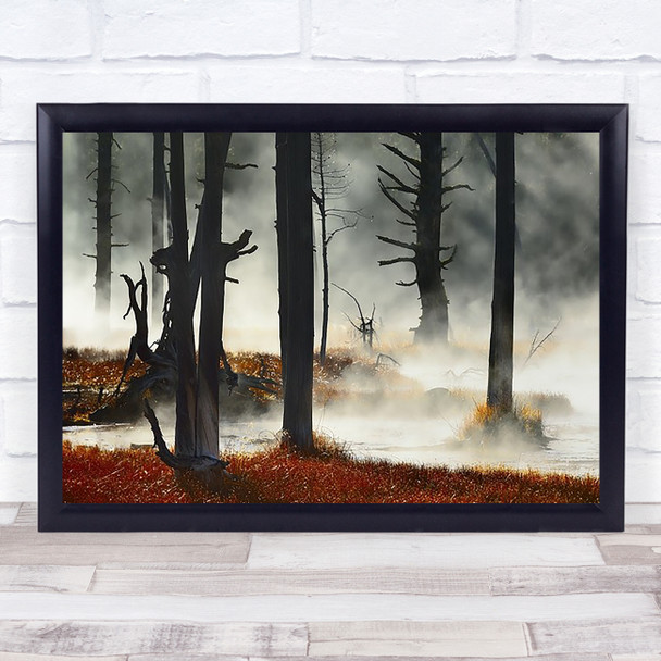 Deadwood Marsh Dead Wither Withered Decay Swamp Autumn Wall Art Print