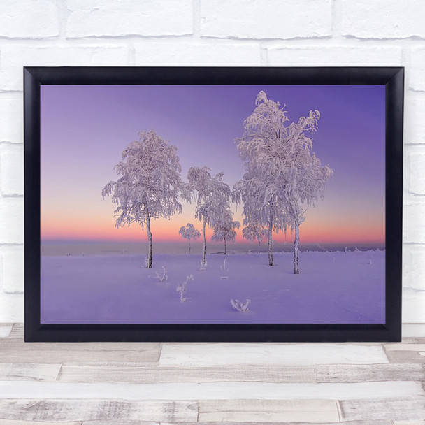 Evening Winter Frozen Trees Snow Cold Sunset Russia White Forest Wall Art Print