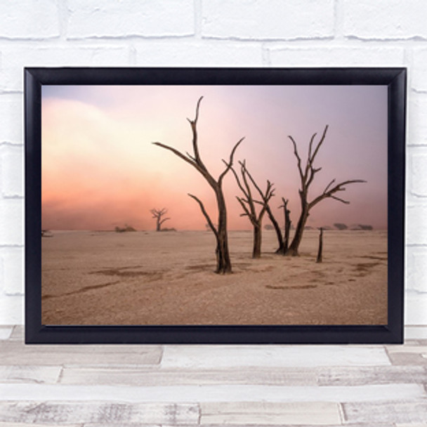 Fog in deadvlei Namibia Desert Sand Trees Tree Dead Wither Wall Art Print