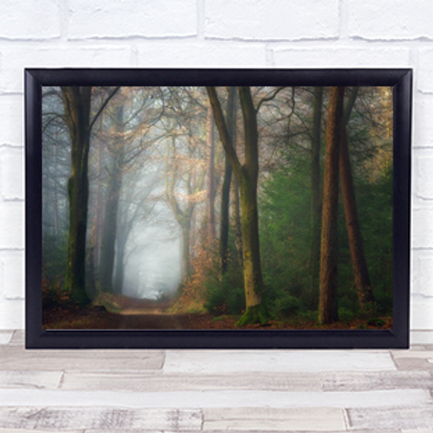 Forest Trees Foggy Mist Netherlands Gelderland Morning Wall Art Print