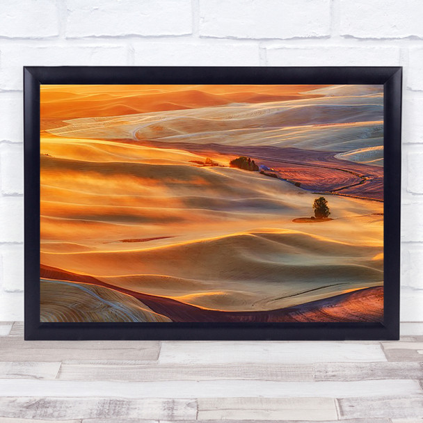 Golden Palouse Gold Summer Wheat Field USA United Wall Art Print