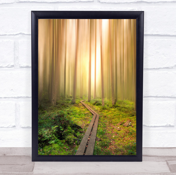 Into The Light Boardwalk Path Way Road Forest Streaks Trees Woods Wall Art Print