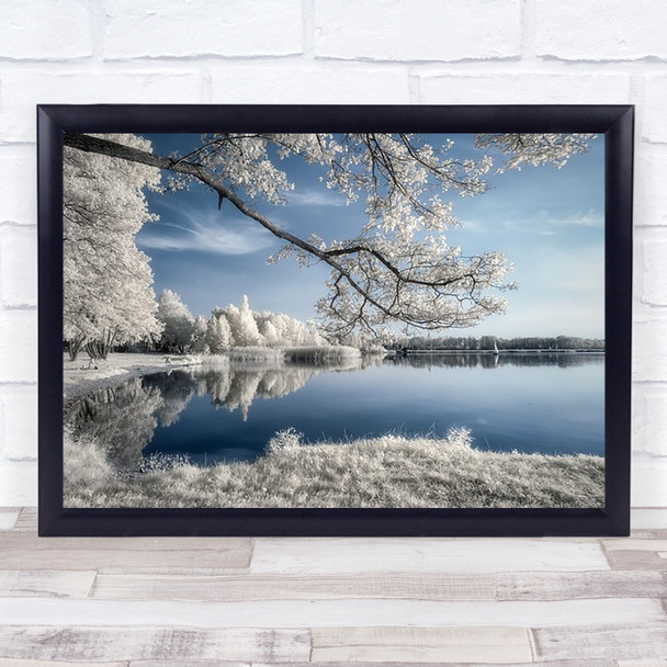 Irenkowo Seascape Water Blue White Branch Leaf Leaves Tree Wall Art Print