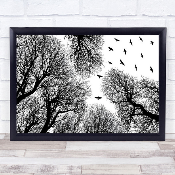 Out To The Open Branches Birds Kuopio Finland Wall Art Print