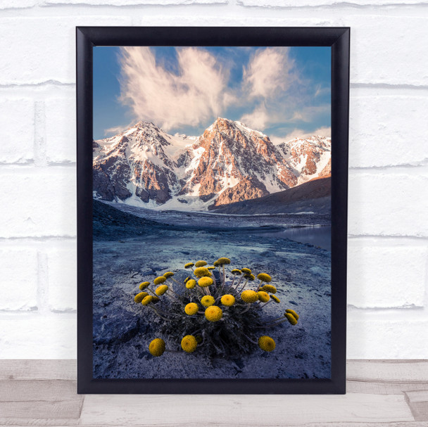 Snow Mountain Camomile Nature Wildflower Peak Wall Art Print