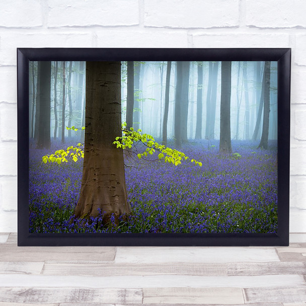 Spring Bluebells Blue Flower Flowers Spring Trees Tree Forest Grass Art Print