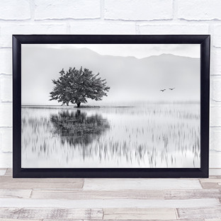 Spring Mirror Tree Reflection Greece Lake Birds Kerkini Wall Art Print