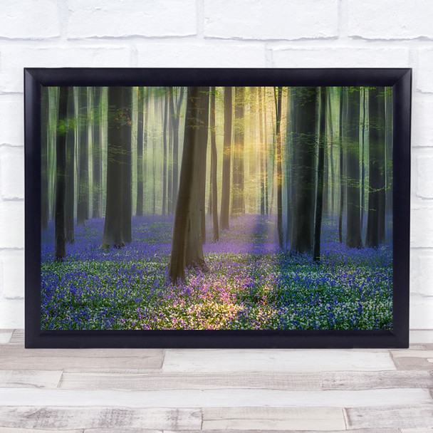 Summer Bluebell Tree Trunks Forest Woods Flower Wall Art Print