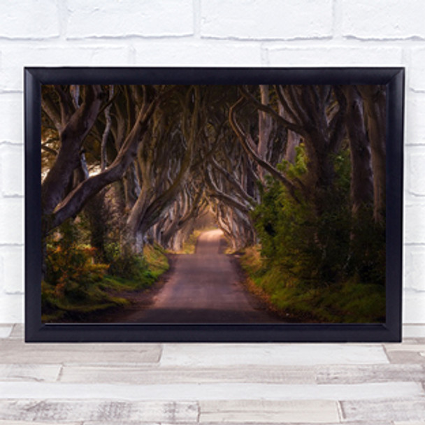 The Glowing Hedges Road Way Forest Trees Ceiling Branch Branches Goal Art Print