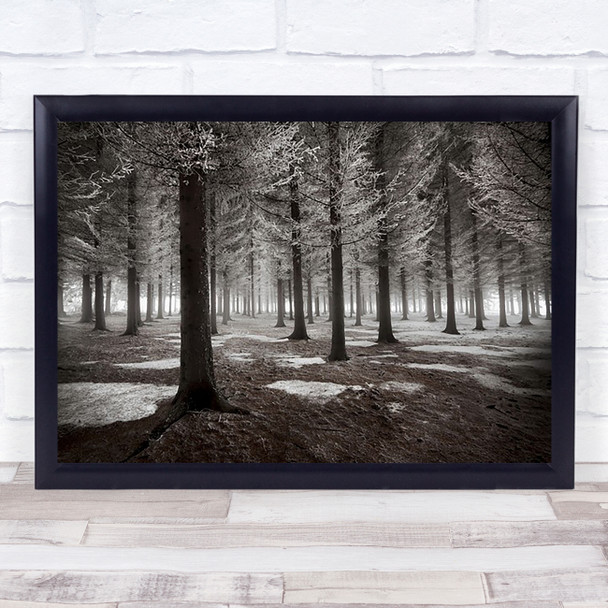 The Onset Of Winter Forest Snow Ice Trees Cold Frozen Frost Wall Art Print