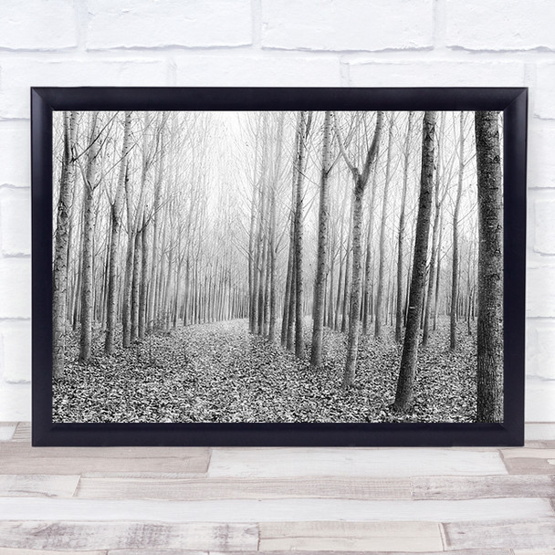 The Shape Of Trees 03 Forest Mist Winter Wall Art Print