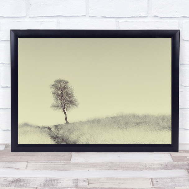 Tree On Top Toned Lonely Autumn Fall Simple Simplicity Wall Art Print