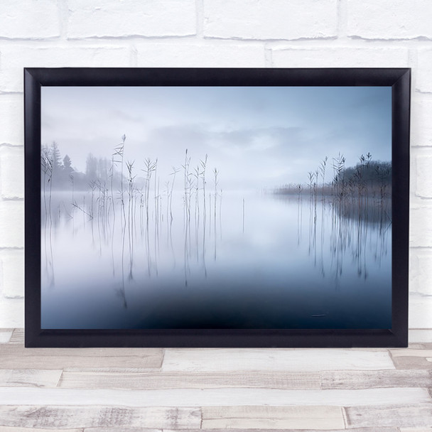 Water Lake Reed Milky Silky Smooth Wall Art Print