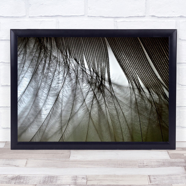 Feather Feathers Soft Abstract Gentle Delicate Wall Art Print