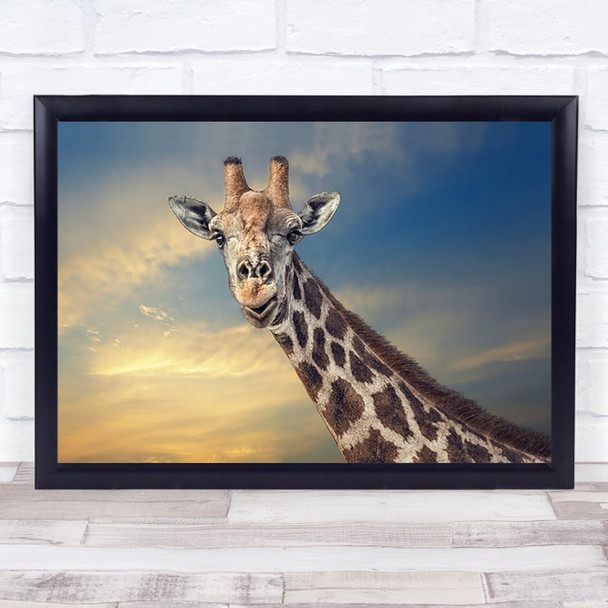 Africa Namibia Animal Giraffe Sky Etosha Wildlife Wild Art Print