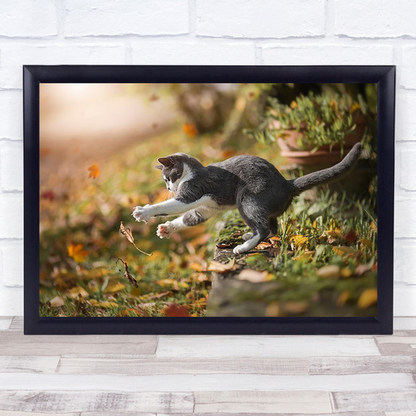 Autumn Play Cat Pet Pets Home Leaves Wind October Wall Art Print