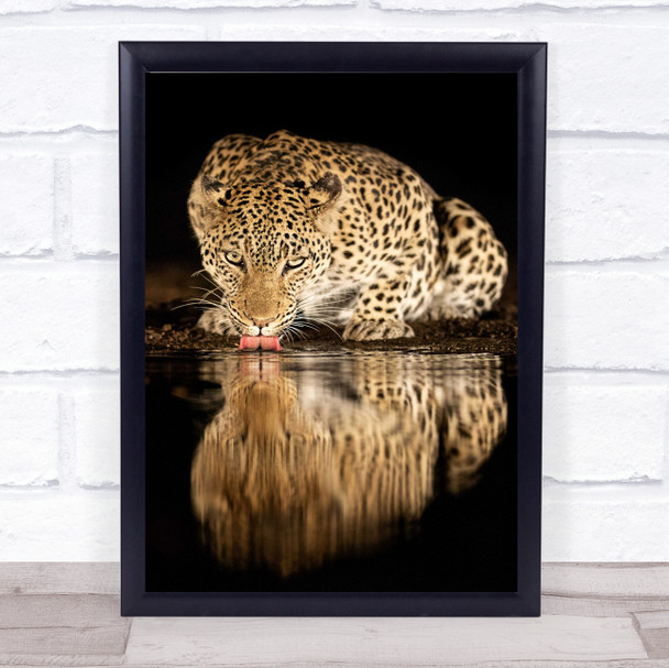 Cheetah Reflection dark Tongue Drink Drinking Wall Art Print