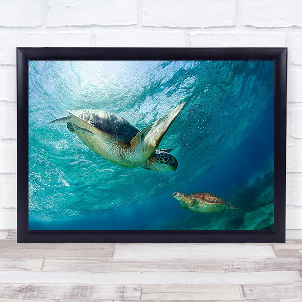 Contact Sea Philippines Turtle Green Underwater Meet Wall Art Print