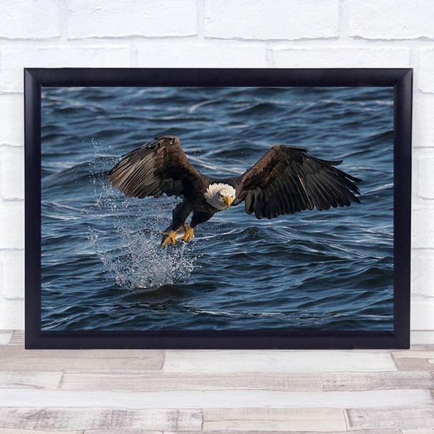 Eagle River Eagles Bird Birds Catch Caught Fish Water Art Print