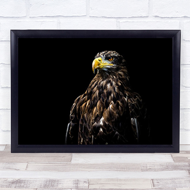 Ego Eagle Bird Animal Eyes Strong Chest Dark Wall Art Print