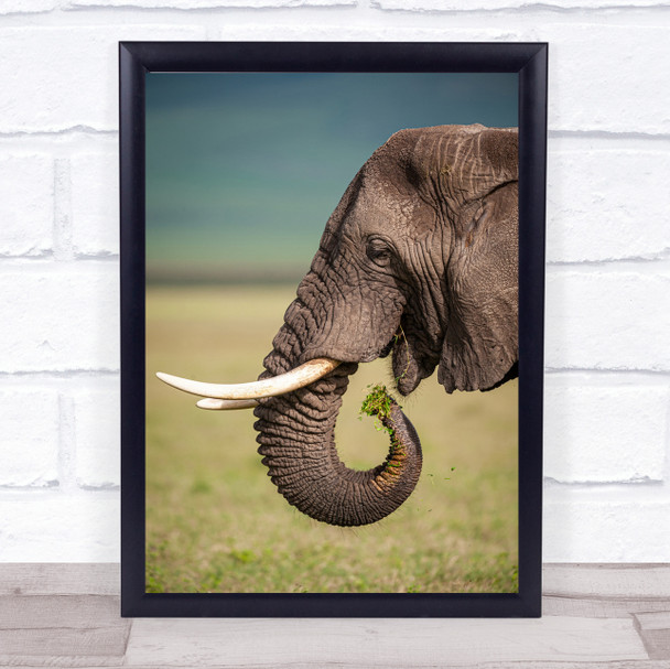 Elephant snacking Wildlife Tanzania Savannah Animal Bokeh Wall Art Print