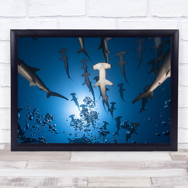 Hammerhead Shark Underwater Wildlife Dive Diving Ocean Sea Wall Art Print
