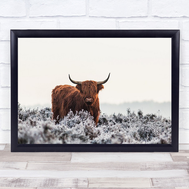 Highlander Bison Buffalo Fur Furry Animal Animals Horns Horn Cattle Art Print