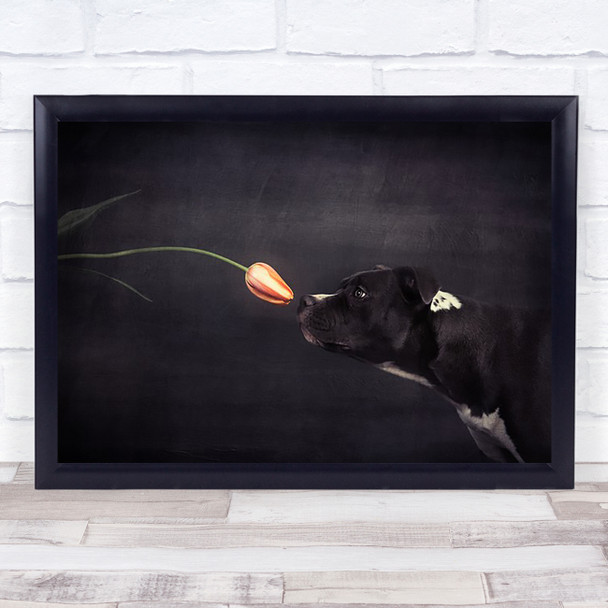 Hildegard the tulip Studio Dogs Wall Art Print