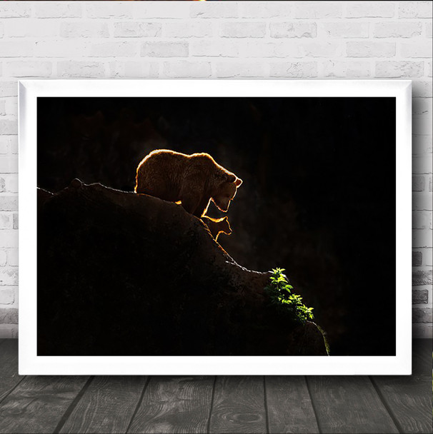 Mom bear with cub Backlight Backlighting Bears Brown Family Wall Art Print