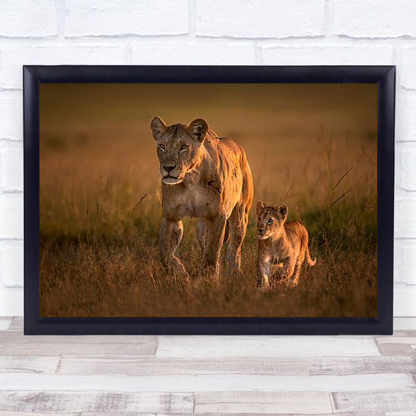 Mom lioness with cub Africa Lion Kenya Savannah Plains Wall Art Print