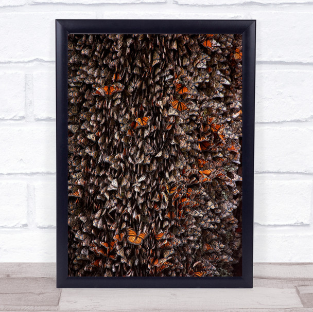 Monarch Butterflies During Hibernation Patron Insect Winter Forest Art Print