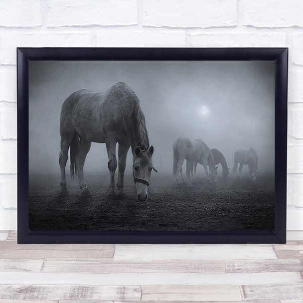 Moonlit Horses Fog Moon Horse Animal Texture Animals Mist Wall Art Print