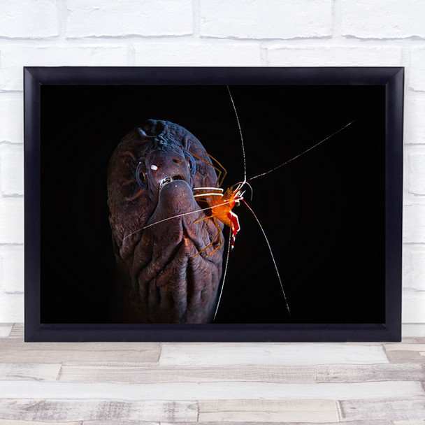 Moray Wildlife Underwater Ocean Sea Shrimp Scary Wall Art Print