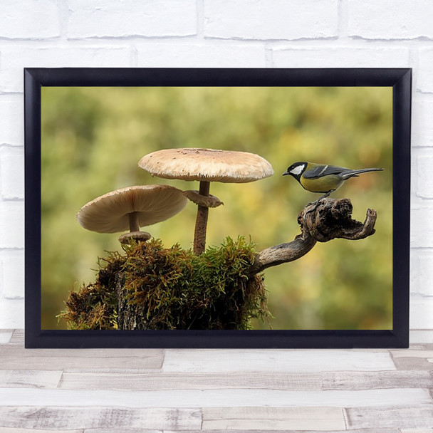 My Small Part Of The World Nature Wildlife Tit Bird Fall Mushroom Wall Art Print