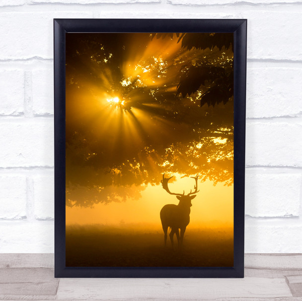 Nature Animal Deer Morning Fog Sunlight Wildlife Silhouette Wall Art Print